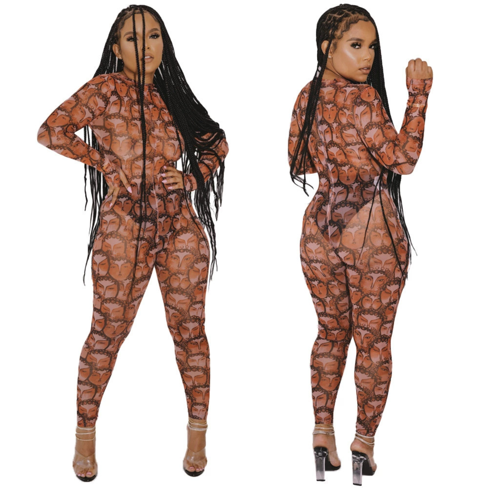 ZARA Sexy Printed Sheer Jumpsuit for Fall Winter